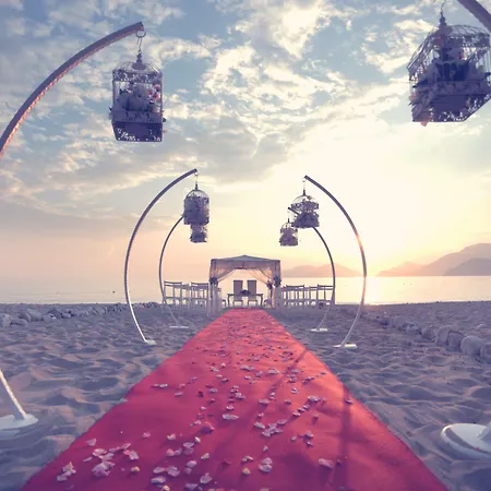 Complex Liberty Lykia