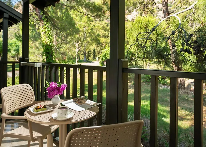 Liberty Lykia 5* オルデニズ